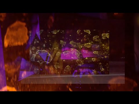 In the Night - vega vi (Official Music Video)