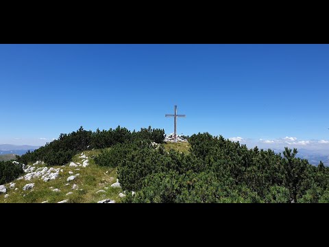 Lelija: Velika Lelija