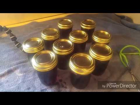 download lagu mp3 mp4 Grape And Apple Jelly, download lagu Grape And Apple Jelly gratis, unduh video klip Grape And Apple Jelly