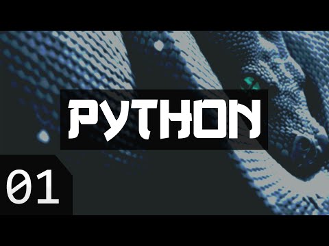 Python-джедай
