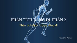 Phân tích dáng đi. Phần 2: Phân tích định lượng dáng đi