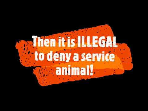 IT IS ILLEGAL TO DENY A SERVICE ANIMAL!!