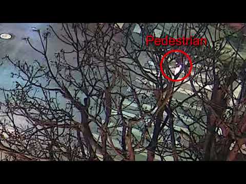 Pedestrian Struck in Crosswalk by Hit-and-Run Driver Near USC