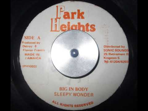 Sleepy Wonder - Big In Body