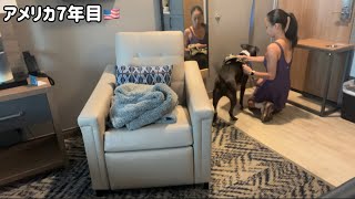 待って、こんなはずじゃなかった【犬と初めて一泊旅行】