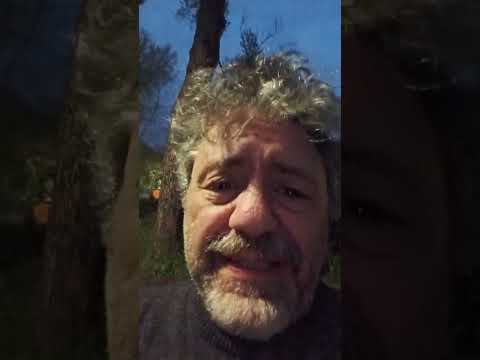 Prince secondo Chatgpt