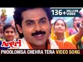 Phoolomsa Chehra Tera Video Song Anari