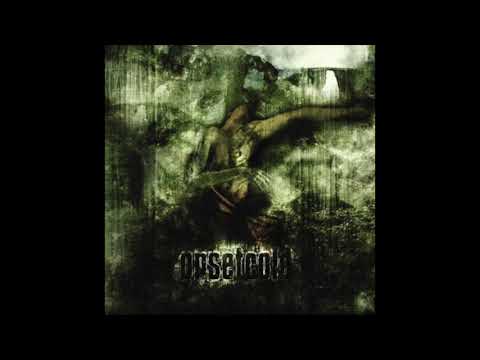 2008 (self titled) Debut Album Record label Wormholedeath