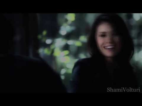 • Shami Volturi | Branded like an animal •