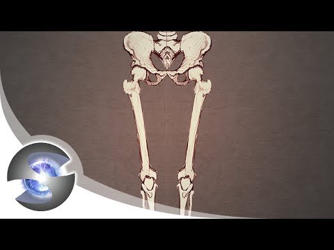 2014.03.13 How to Draw - Connecting the Legs and Torso