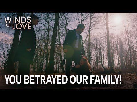 Halil ile Songül'ün büyük yüzleşmesi | Rüzgarlı Tepe 213. Bölüm