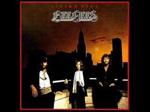 Soldiers video