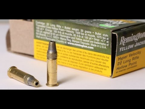 Ally Munitions .17 Remington Ammunition - 4 Minute Ammo Review and Hunt