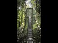 The largest cave chamber | Sarawak Cave | Borneo Island Malaysia | Gunung Mulu National Park
