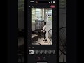 AI Eraser For Video
