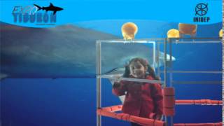 DIA 3 Expo Tiburon131