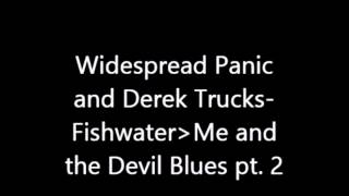 Widespread Panic and Derek Trucks- Me and the Devil Blues 3/19/94