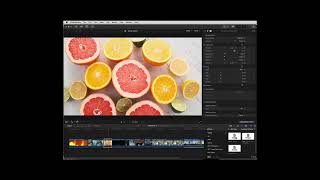 Introduction to StyleX: Grunge . Video Style Transfer in FCP X