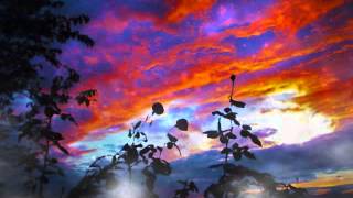 Across The Borderline - Performed by Meridith Marshall