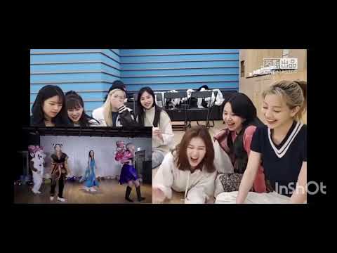 twice reaction to black pink how you like that frozen