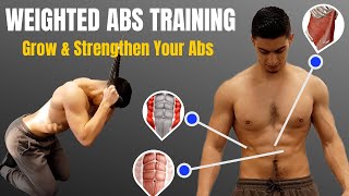 How To Train Your Abs Properly | Target 3 Regions (Science-Based)