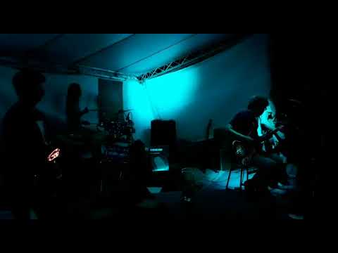 Zborcené Harfy Tón (ZHT) - Ptáci