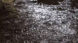 2016 WHISPERED REASON TEASER