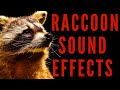 WHAT DOES RACCOON SOUND LIKE Raccoon Sound Effects Maktub Ytv