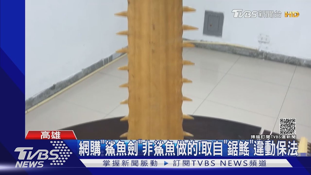 網購「鯊魚劍」不是鯊魚做的! 取自鋸鰩違反動保法