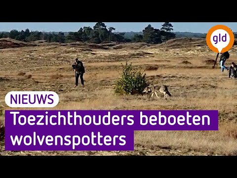GLD Nieuws 9 oktober 2022