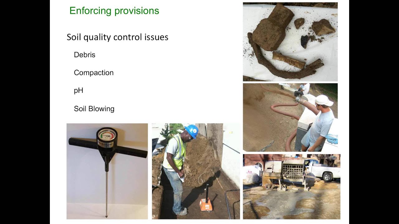 Webinar: Free, research-driven tree and soil details/specifications from the Urban Tree Foundation