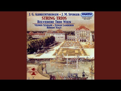 Johannes Matthias Sperger: Trio in G major I. Andante