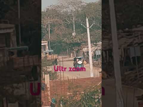 Ultra n zoom #edm #music #dance