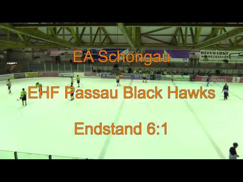 EA Schongau - EHF Passau Black Hawks 23.10.2016