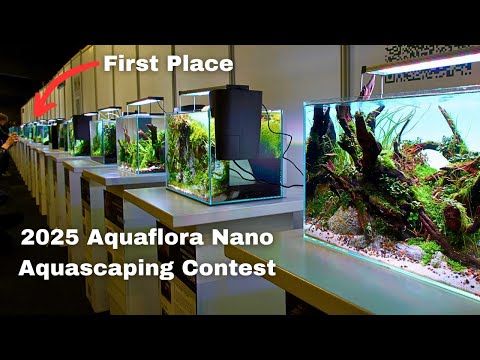 29 AMAZING NANO AQUASCAPES! 2025 Aquaflora Nano Aquascaping Contest