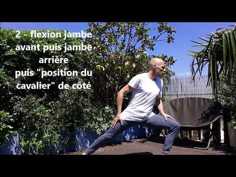 DEBOUT : transitions de flexions de jambes flexions avant, arrière et position dit du "chat"