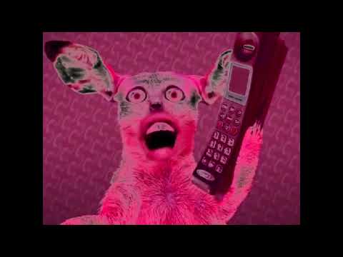 Numa cat In G Major 12