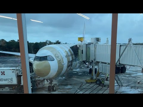 Overview of Premium Economy and Economy Class on the Airbus A330Neo