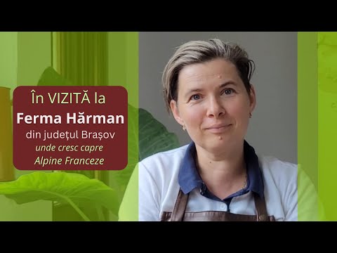 🧀 Cum se face brânza la Ferma Hărman, jud. Brașov - viața la fermă