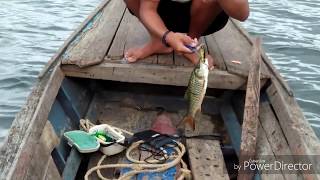 preview picture of video 'ตกปลากระสูบผาหินเขื่อนบางลาง'