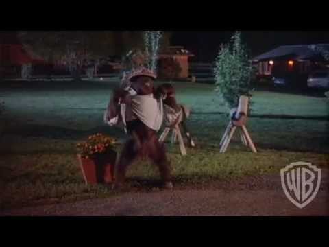 Any Which Way You Can - Trailer