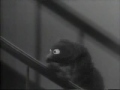 Sesame St Monsterpiece Theatre 39 Stairs