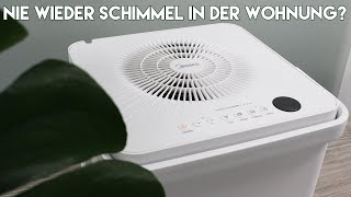 Sagt Schimmel den Kampf an! Der Midea Cube Luftentfeuchter