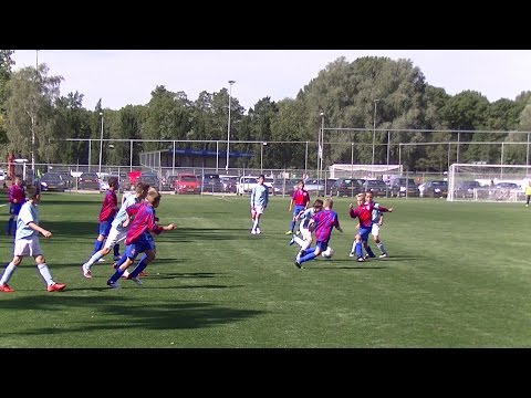 Samenvatting Hermes DVS D1 -  Kethel Spaland D1