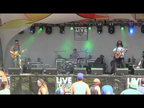 04 Dangermuffin at Disc Jam Music Festival