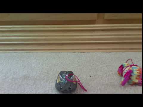 download lagu mp3 mp4 Sparky Graffiti, download mp3 Sparky Graffiti free download mp3, download mp3 Sparky Graffiti