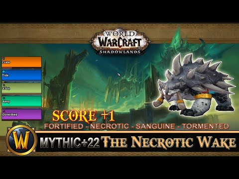 The Necrotic Wake Mythic 22 Fortified Necrotic Sanguine Tormented Guardian Druid Shadowlands