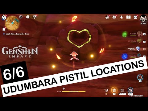All 6 Udumbara Locations: Bring the Udumbara to the residual Pari | Genshin Impact