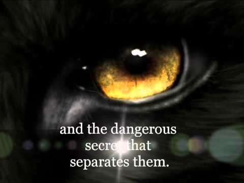 Charity Moon BookTrailer 002