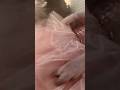 Pig Tutu